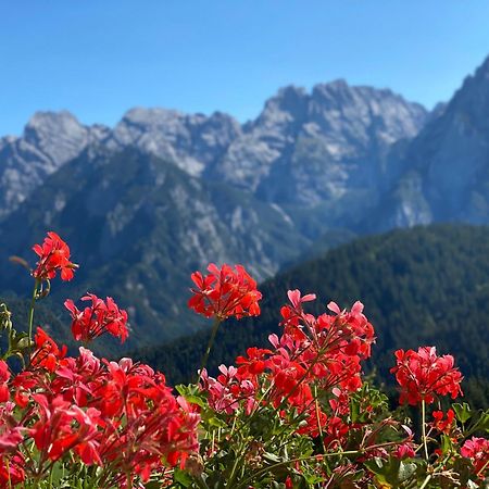 Hotel Tre Pini Danta Екстер'єр фото